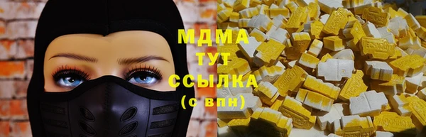 гидра Арсеньев