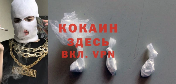 гидра Арсеньев