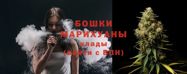 гидра Арсеньев