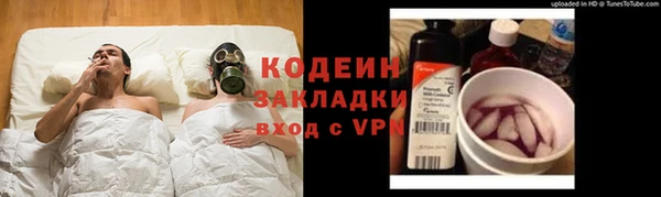 гидра Арсеньев