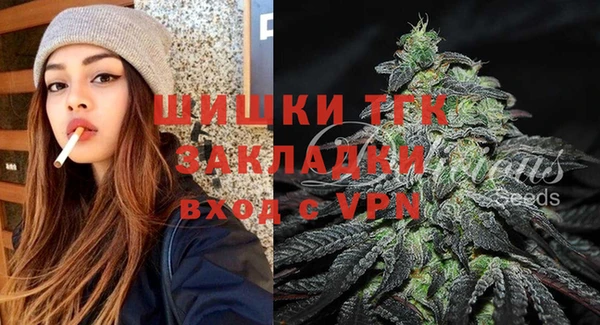 гидра Арсеньев