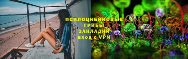гидра Арсеньев