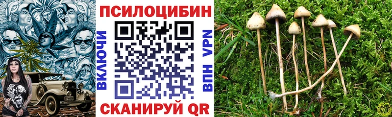 Галлюциногенные грибы Cubensis  сколько стоит  Можга 